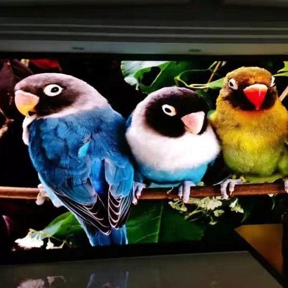 Ultra dünne geführte Videowand-Anzeigen-farbenreiche Videoanschlagtafeln P1.667 P1.25 Innenrgb